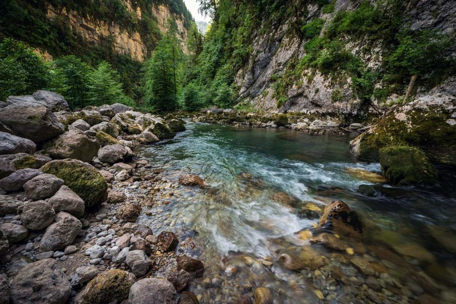 Рицинский реликтовый национальный парк в Абхазии, река